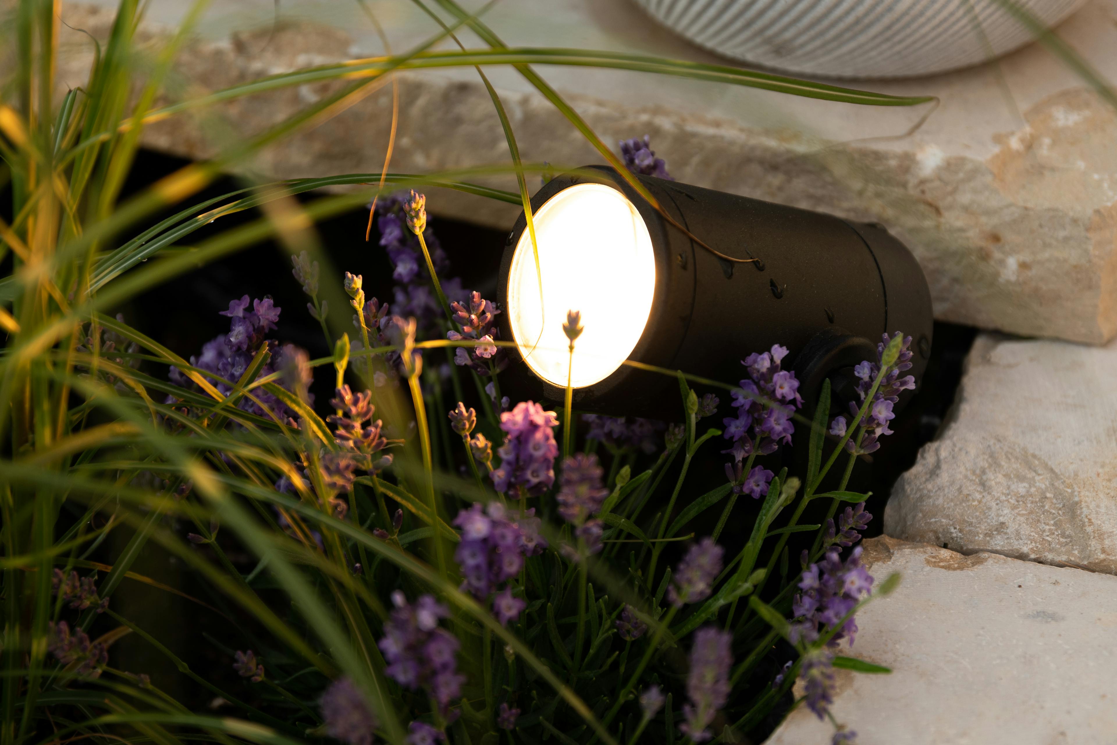 An image related to Landscape Lighting